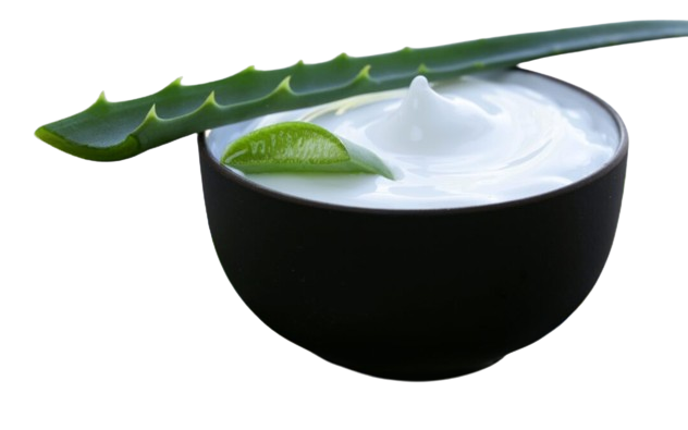 Aloe-Vera-In-Skincare-1080x675-removebg-preview